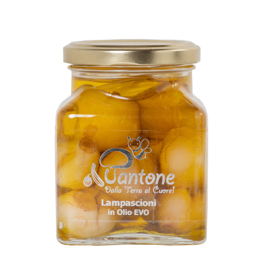 Lampascioni Sott'Olio